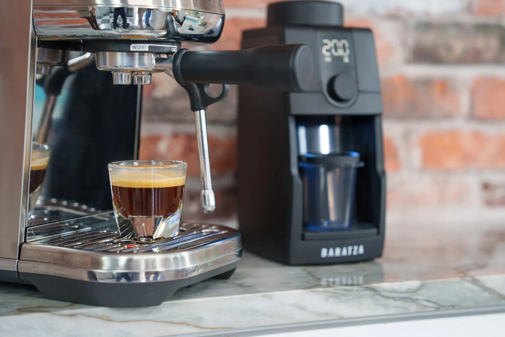 the Bambino Plus by Breville