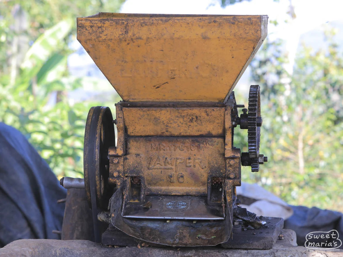 Decaf. Peru (Swiss Water Process)(Fair Trade Organic)